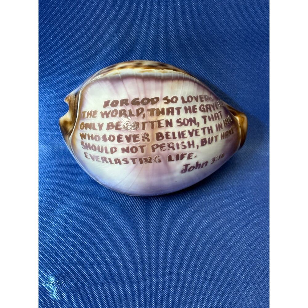 Carved Tiger Cowrie Shell with John 3:16 Bible Verse